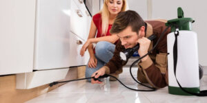 The Ultimate Guide to Termite Protection in Sydney