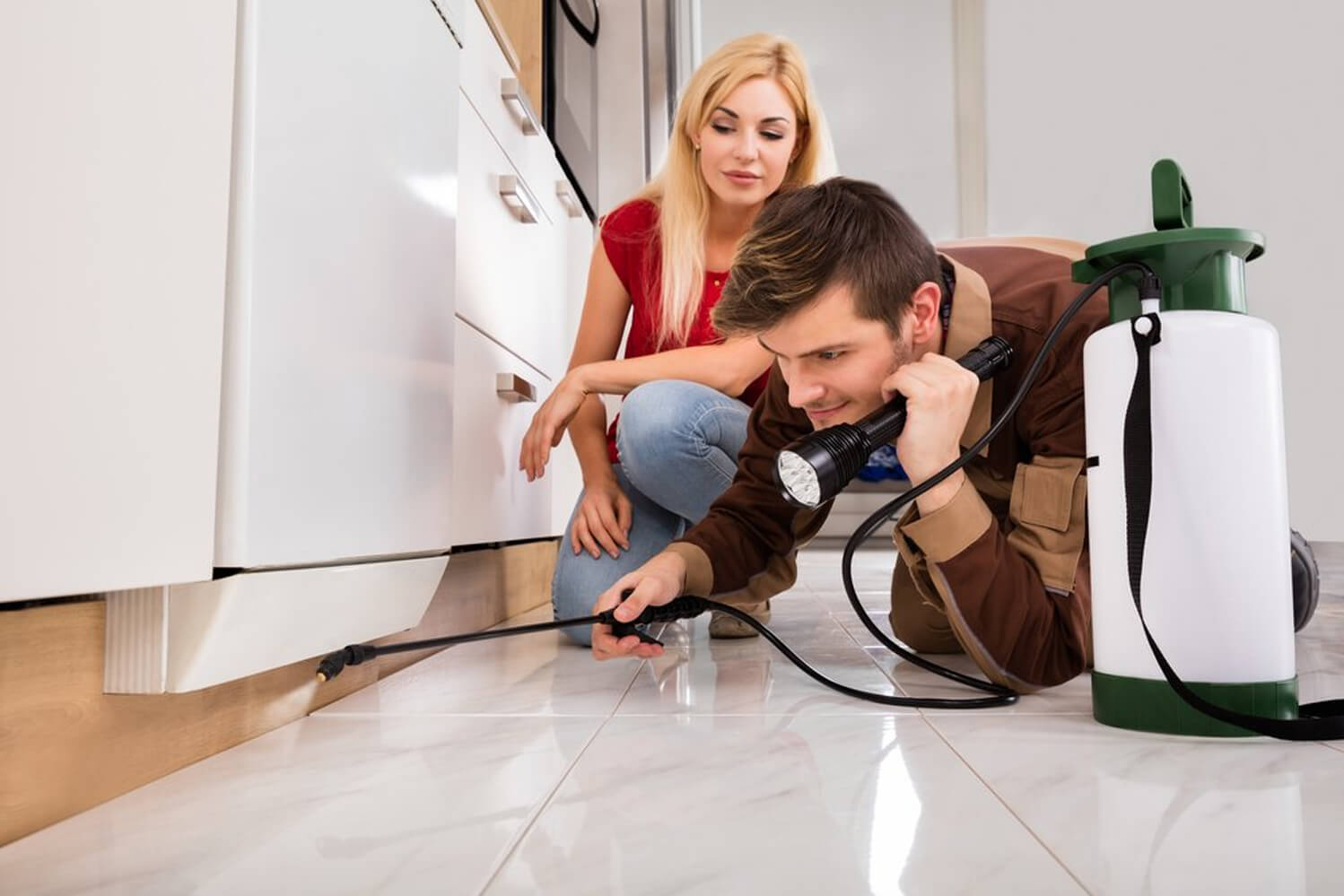 The Ultimate Guide to Termite Protection in Sydney
